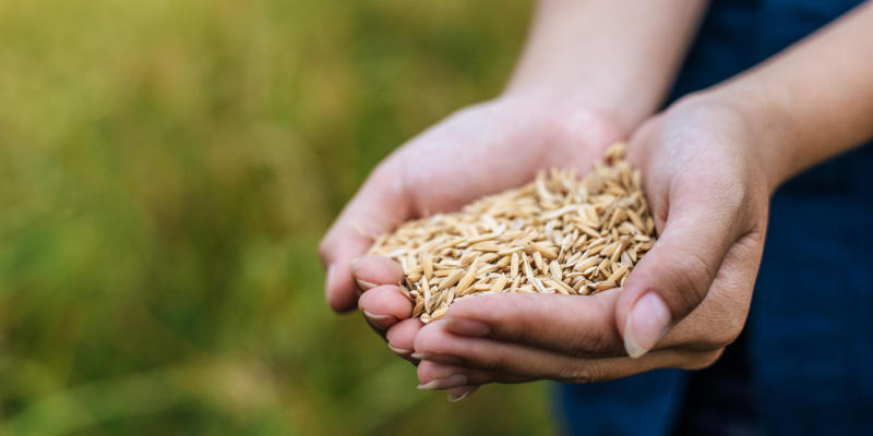 Diseño sin título (1)