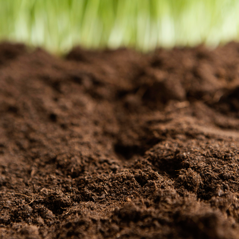 Diseño sin título (5)